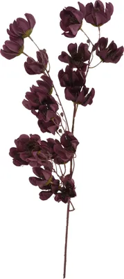 Immagine prodotto di Ramoscello di magnolia, 97 cm, bordeaux