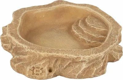 Image de Terra Della écuelle à eau sable, taille : S