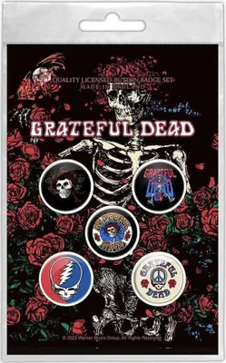 Obrázek produktu pro The Grateful Dead Skeleton & Rose Odznak