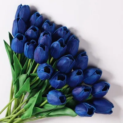 Immagine prodotto di Tulipani per composizioni floreali da matrimonio - 24 pezzi - Blu - Lattice