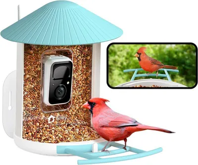 Obrázek produktu pro Birdfy feeder (AI doživotně ), Full HD, IP65, noční vidění, aplikácia