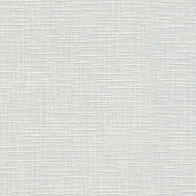 Produktbild von A.S. Création Vliestapete Meistervlies Pro Protect 2, weiss, überstreichbar, 10,05 m x 0,53 m, 574619, 5746-19