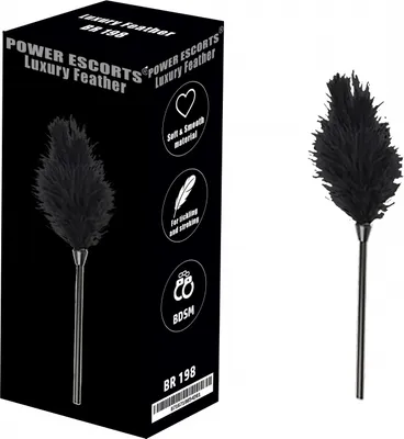 Produktbild von GPS-Gerät Schwarz Federdesign