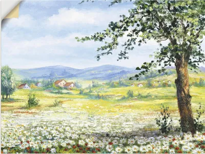 Produktbild von ARTland Wandbild, selbstklebend Margeritenfeld Größe: 40x30 cm