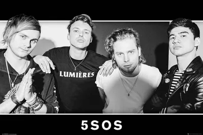 Produktbild von 5 Seconds Of Summer - Poster - Gruppe - Schwarz und Weiß