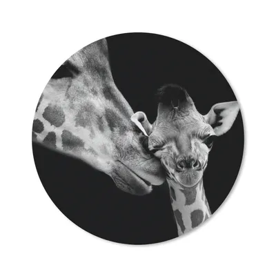 Produktbild von MuchoWow® Mauspad Mousepad Tiere - Schwarz - Weiß - Giraffe - Porträt 40x40 cm - Mousepads - Maus Mat - Pad - Mausunterlage - Schreibtisch Accessoires