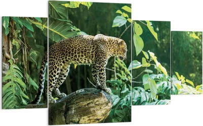Produktbild von Bild auf Leinwand - Leinwandbild - 4 Teile - Dschungel Leopard Panther - 160x90cm - Wand Bild - Wanddeko - Wandbilder - Leinwanddruck - Bilder - Wanddekoration - Leinwand bilder - DL160x90-4502
