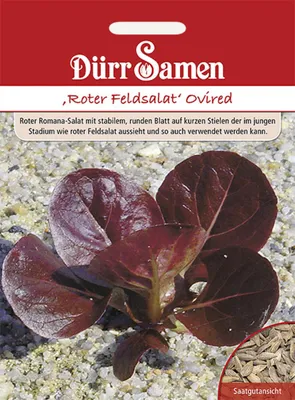 Produktbild von Dürr-Samen - Roter Feldsalat Ovired - Saatgut - 1104