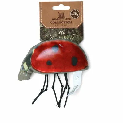 Image de Coccinelle Wild Life Cat