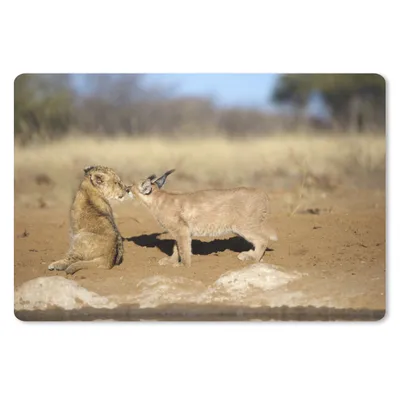 Produktbild von MuchoWow® Schreibtischunterlage Löwe - Tiere - Afrika 60x40 cm - XXL Mauspad - Großes Mauspad