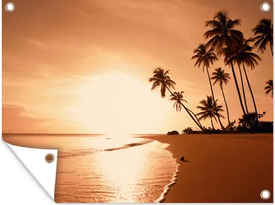 Produktbild von MuchoWow® 120x90 cm Outdoor-Poster Gartendeko Sichtschutz Garten Poster für den Garten  Sonnenuntergang - Tropisch - Palme - Strand - Meer