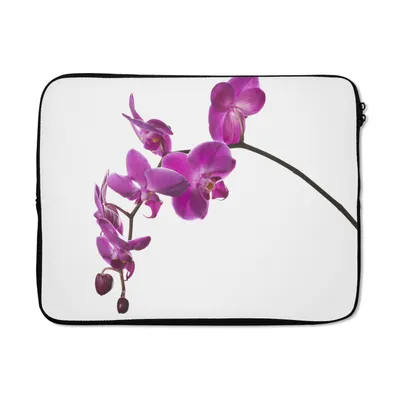 Produktbild von MuchoWow® Laptop Hülle 15 Zoll Orchidee vor weißem Hintergrund Laptoptasche - Laptoptasche - Sleeve - Rundum-Schutz