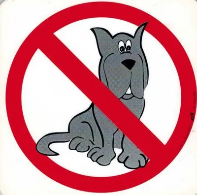 Produktbild von Schild - Hundeverbot - Gr. 20 X 20 cm - 308364 - Tiere Hund