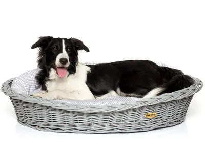 Produktbild von Handbemalter grauer Weidenkorb Wikikorb mit Baumwoll-Hundebett – Beige mit Karo – Waschbar & Weich – DOTTY