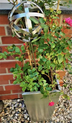 Produktbild von Rosenkugel Geflecht 25 cm Edelstahl mit Stab 80 cm Streifenkugel Geflechtkugel