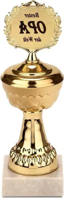 Obrázok produktu pre Zlatý trofejný pohár – ocenenie za výnimočnú hudbu – základná doska z nehrdzavejúcej ocele – výška 22 cm – pozlátenie 24-karátovým zlatom