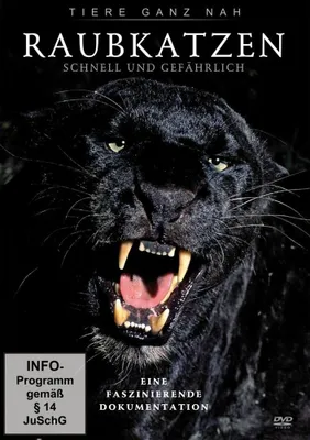 Imagen del producto de Raubkatzen - Tiere ganz nah -   - (DVD Video / Sonstige / unsortiert)