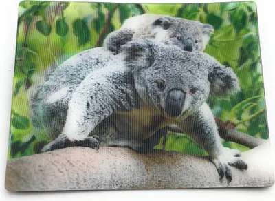 Productafbeelding van Onwomania Koala Beer, Koalabear, 9x7 cm, 3D magneet, kaart, koelkastmagneet, magnetische afbeelding, klembordmagneet, grijs
