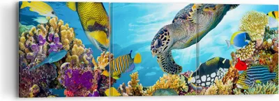 Produktbild von Bild auf Leinwand - Leinwandbild - Riff Koralle Fisch - 90x30cm - Wand Bild - Wanddeko - Wandbilder - Leinwanddruck - Bilder - Kunstdruck - Wanddekoration - Leinwand bilder - Wandkunst - CA90x30-3704