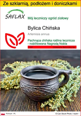 Zdjęcie produktu dla SAFLAX - Zestaw do uprawy - Bylica Chińska - 250 Nasiona - Z mini szklarnią, podłożem uprawowym i 2 doniczkami - Artemisia annua