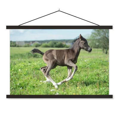 Produktbild von MuchoWow® Textilposter Pferd - Blumen - Gras 60x40 cm mit schwarzem Rahmen - Hölzernes