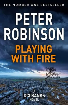 Produktbild von Playing With Fire
