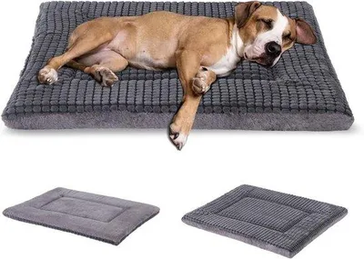 Produktbild von Weiches Hundekissen, Waschbar, Für kleine Hunde, Traagschuim