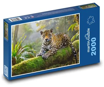 Obrázek produktu pro martinpuzzle - Puzzle 2000 - Jaguár