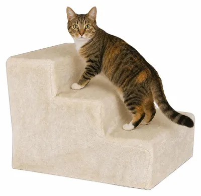 Produktbild von lionto Katzentreppe, weich gepolstert & gelenkschonend, rutschfest & stabil, mit abnehmbarem Plüschbezug, 46x36x34 cm, beige