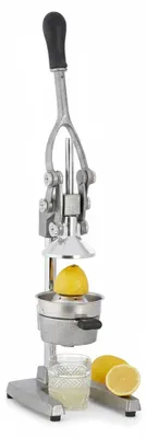 Imagen del producto de JL Cuisine - Exprimidor de frutas - Manual - Acero inoxidable - Color plateado, Imagen generada por IA