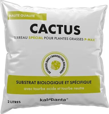 Immagine prodotto di Vaso per cactus e piante grasse - 100% naturale - 2 litri - terracotta