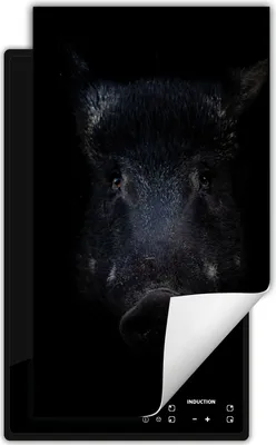 Produktbild von DarHaus Herdabdeckplatte 1 teilig 30x52 cm Anti Rutsch Matte Aufrollbar, schwarz - Wildschwein