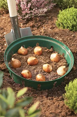 Produktbild von Blumenzwiebel Korb | Gartenzubehör von Garland, Menge (Stück):3 Stück, Menge:Standard