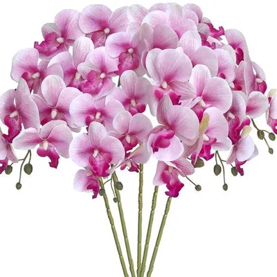 Obrázok produktu pre Sada umelých orchideí – 5 ks – biela s fialovou – skutočnéPolyuretánkvety