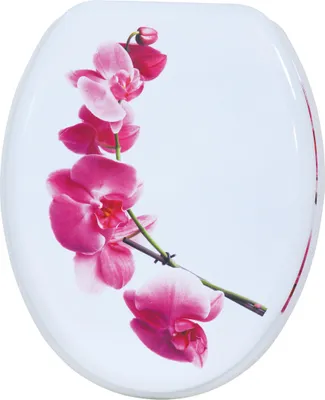 Produktbild von MSV 3700703949459, Verlängert, Harter Toilettensitz, Rose, Weiß, MDF-Platten, 365 mm, 425 mm
