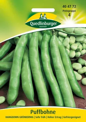 Produktbild von Puffbohne, Hangdown Grünkernig