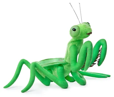 Productafbeelding van Praying Mantis Pluche Speelgoed - 33 cm