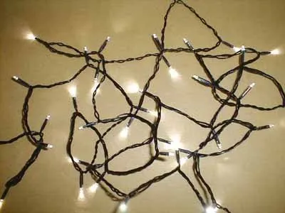 Produktbild von Hellum 560817, Grün, 80 Glühbirne(n), LED, Weiß, 17900 mm, 10 m