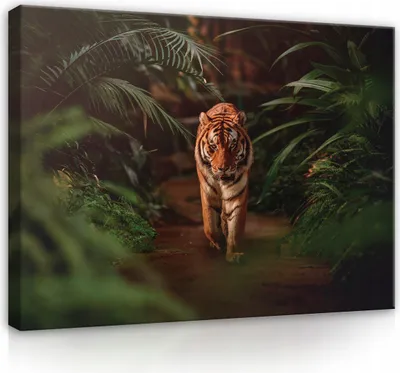 Produktbild von Leinwandbild Tiger Tiere Natur Dschungel 120x80 cm XXL Modern Canvas Leinwand Bilder Leinwandbilder Wandbilder Kunstdruck Bild auf Leinwand Aufhängefertig