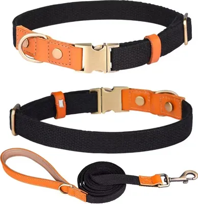 Produktbild von Hundeleine & Halsband Set aus Nylon mit Leder – robust, hochwertig, 1,5 m Leine – für kleine & große Hunde 7 Farben verfügbar schwarz Größe L