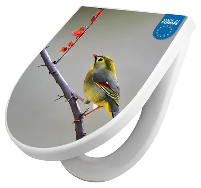 Produktbild von WC Sitz mit Absenkautomatik D Form Motiv Herbst Vogel [TDW3 12978]