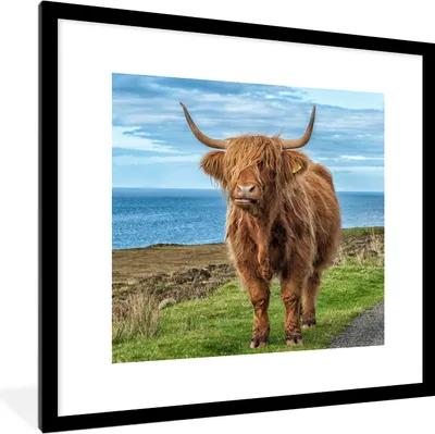 Produktbild von MuchoWow® Gerahmtes Poster Schottischer Highlander - Wasser - Hörner 40x40 cm - Poster mit Schwarzem Bilderrahmen Wandposter Rahmen Foto Bilder - Poster - Plakat im Rahmen