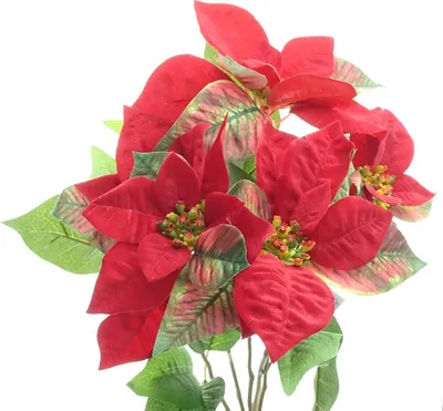 Produktbild von Weihnachtsstern - Poinsettienbusch Rot 45 cm - Kunstblumen