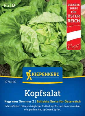 Produktbild von Kopfsalat Kagraner Sommer 2 (Regional AT) | Kopfsalatsamen von Kiepenkerl