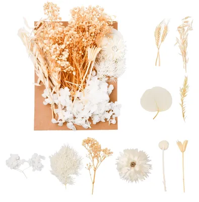 Trockenblumen-Set, weiß, 10-13 Sorten, für DIY und Dekoration