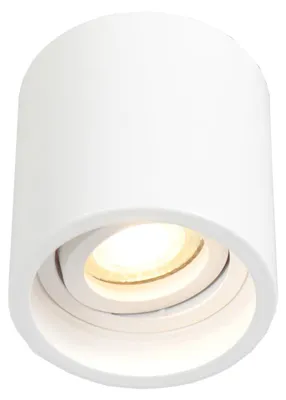 Image de Spot - blanc - Pelite spot - plastique métal - Ø 9cm - GU10 - 1731W - Steinhauer