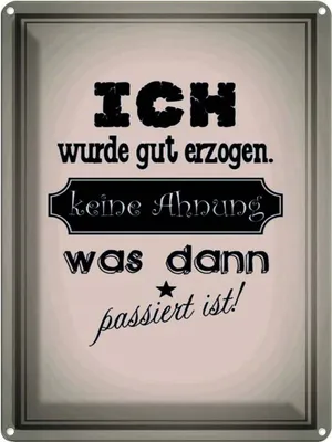Produktbild von vianmo Blechschild 40x30 cm ich gut erzogen dann passiert Spruch Zitat