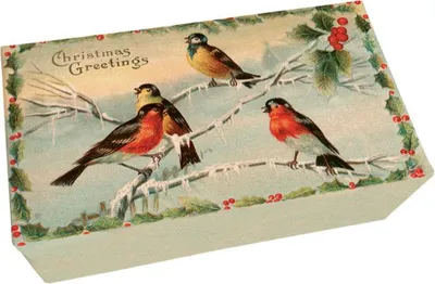Produktbild von Geschenkseife "WeihnachtsVögel", 200 g