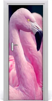 Produktbild von Tulup Türaufkleber 75x205 cm Dekorative Aufkleber Selbstklebend Wasserdichte Tapete Abnehmbar Schlafzimmer Wohnzimmer Wohnkultur - Flamingos Wand