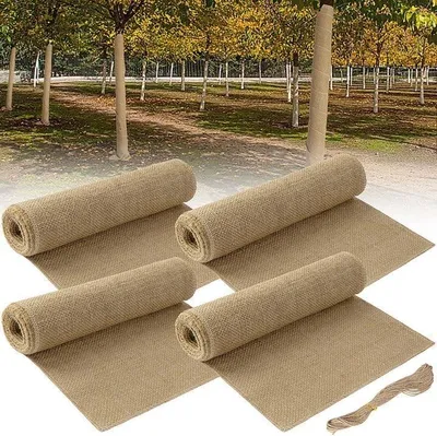 Obrázek produktu pro 4 role jutové ochrany pro stromy, vhodné pro zimní ochranu, rozměry 3 m x 25,5 cm